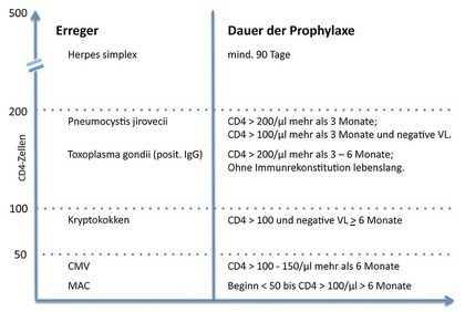 Abb. 1 Schematische Übersicht der Primärprophylaxen