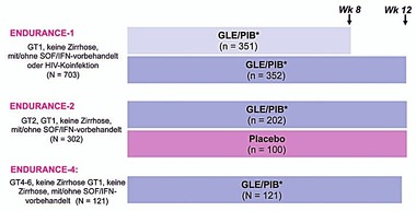 Abb. 3  Studien ENDURANCE-1, 2, 4: Glecaprevir/Pibrentasvir bei GT1, 2, 4, 5, 6