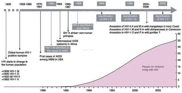 Abb. 1   Geschichte der AIDS-Pandemie – Rekonstruktion des zeitlichen Verlaufs der speziesüber - schreitenden Infektionen von Primatenretroviren auf den Menschen (modifiziert nach Locatelli 2012)