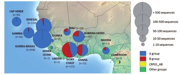 Abb. 3   Verteilung von HIV-2 Gruppen in Westafrika (Auswertung von analysierten Gensequenzen, Los Alamos National Laboratory database)  n = Anzahl der Viren, für die eine Sequenzierung vorliegt
