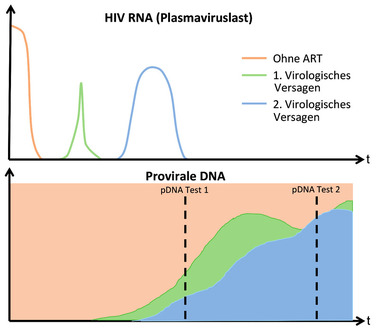 Abb. 1  Mögliche Zusammensetzung des proviralen Reservoirs nach mehrfachem virologischem Versagen (modifiziert nach D‘Antoni 2021)