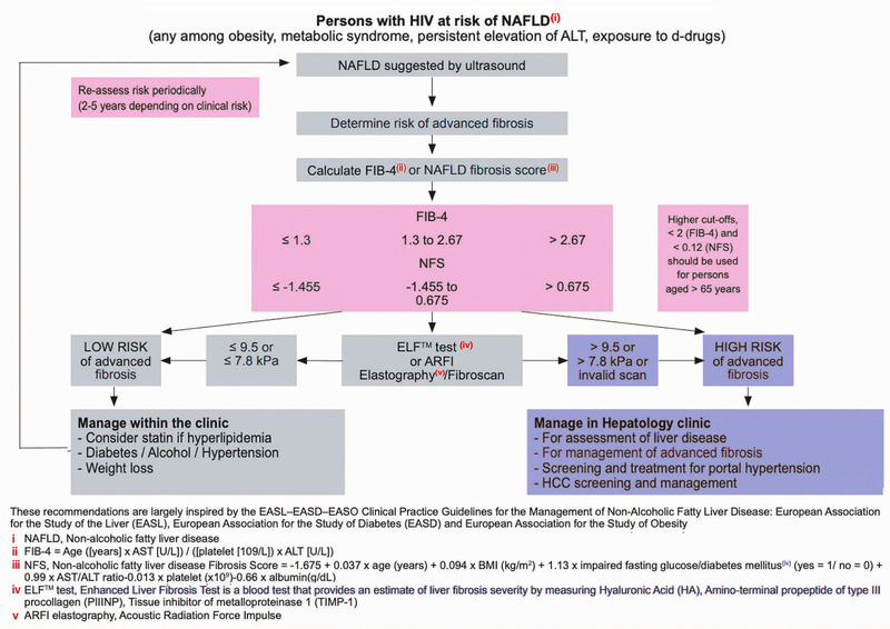 Abb. 1 Diagnostic Flow-chart to Assess and Monitor Disease Severity in Case of Suspected NAFLD and Metabolic Risk Factors
