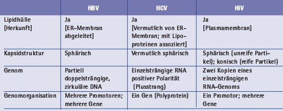 Tab. 1: Vergleichende Eigenschaften von HBV, HCV und HIV