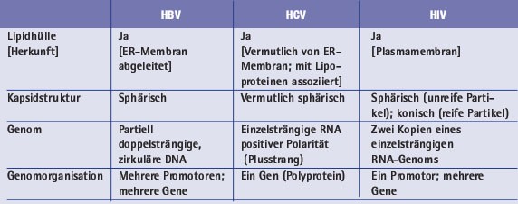 behandlungen fur erwachsene virale hepititus