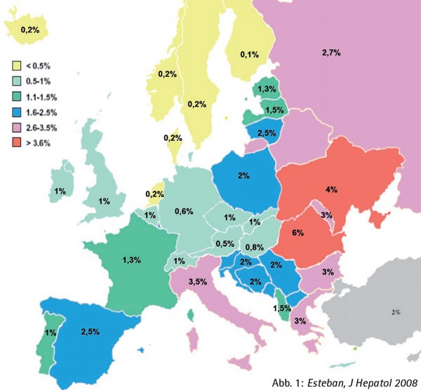 Abb. 1: Esteban J Hepatol 2008