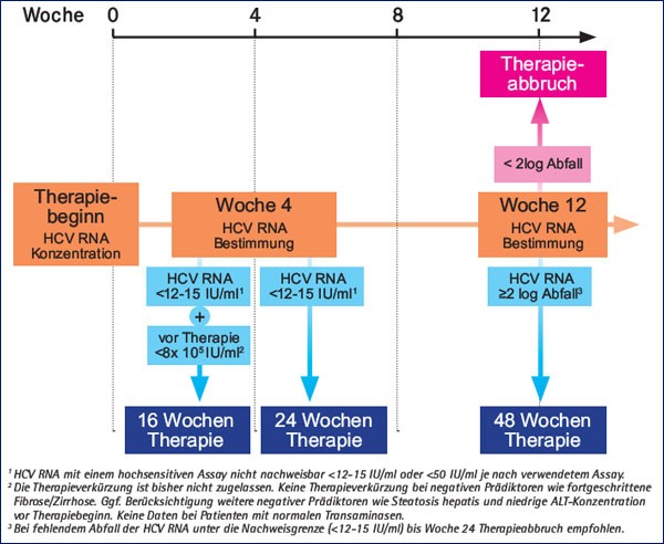 Abb. 4: Therapie Genotyp 2/3