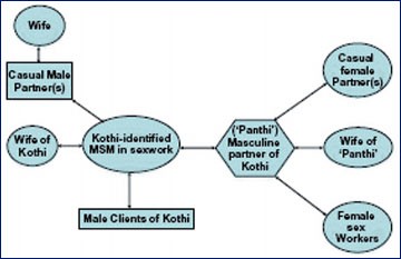 Abb. 3: Sexuelle Netzwerke von MSM in Indien am Beispiel von "Kothi" und "Panthi"