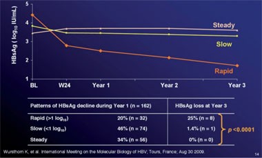 Abb. 8: HBsAg-Kinetik unter drei Jahren Telbivudin. Man erkennt drei Muster, wobei der rasche Abfall bis zu Woche 24 signifikant mit dem konsekutiven HBsAg-Verlust korreliert