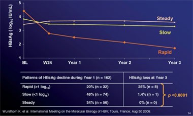 Abb. 8: HBsAg-Kinetik unter drei Jahren Telbivudin. Man erkennt drei Muster, wobei der rasche Abfall bis zu Woche 24 signifikant mit dem konsekutiven HBsAg-Verlust korreliert 