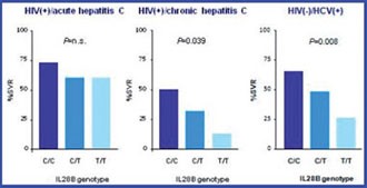 Abb. 11: IL-28B Genotyp und SVR-Rate (#164 Nattermann J et al.) 