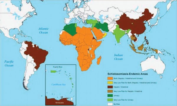 Abb. 1: Verbreitung der Bilharziose