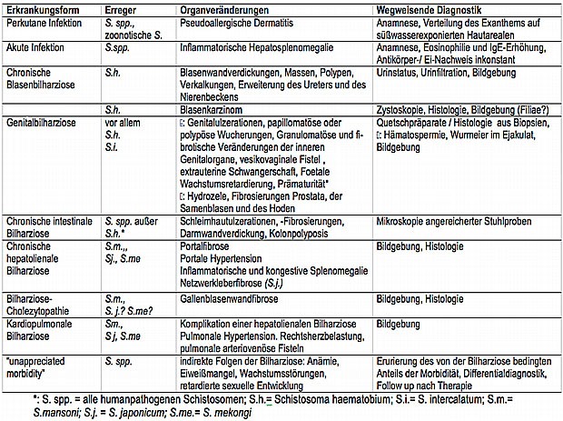 Bilharziose: Krankheitsstadium und -manifestation, kausale Schistosomenspezies, Organveränderungen und entsprechende Diagnostik 