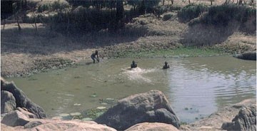 Abb. 2b: Typische Süßwasserexposition in Mali 