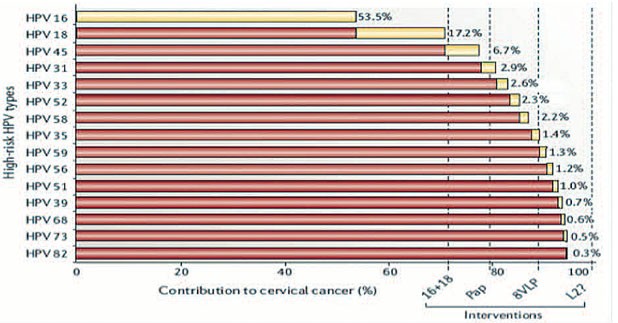 Abb. 4: High-risk HPV und der Anteil am Zervixkarzinom (Harper et al. Lancet 2006; 367: 1247-55) 