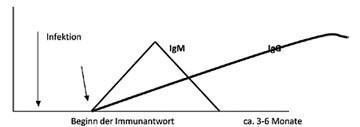 Infektionsverlauf