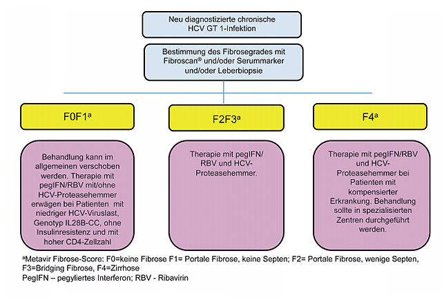 Abb. 6  Management der neu diagnostizierten HIV/HCV Koinfektion Genotyp 1. Nach Ingiliz P, Rockstroh J Liver International 2012, in press