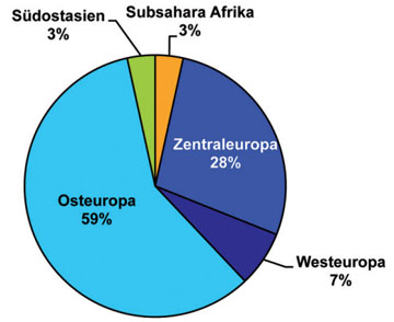 Abb. 6  Herkunftsregion bei Erstdiagnosen unter iv.-Drogengebrauchern, für die ein anderes Herkunftsland als Deutschland angegeben wurde (n=29)