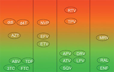 Abb. 1  Hepatotoxisches Potential antiretroviraler Substanzen