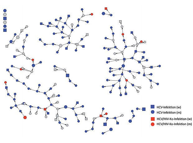 Abb. 2  HIV- und HCV- Status in der Essener Studienpopulation (n=197)