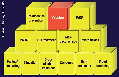 Abb. 1  Multimodale HIV-Prävention
