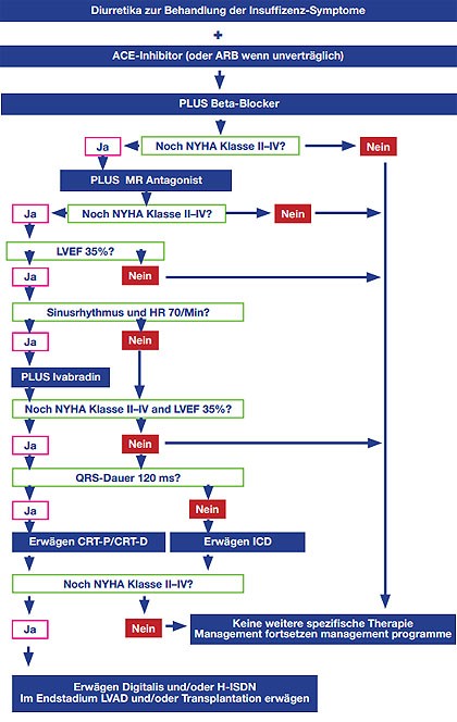 Abb. 2  Therapie bei symptomatischer chronischer systolischer Herzinsuffizienz (NYHA Klasse II–IV).