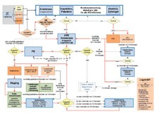 Abb. 1  Algorithmus zur Prävention Diagnostik und Therapie von Condylomata acuminata-analen intraepithelialen DysNeoplasien und Analkarzinomen bei HIV-Infizierten