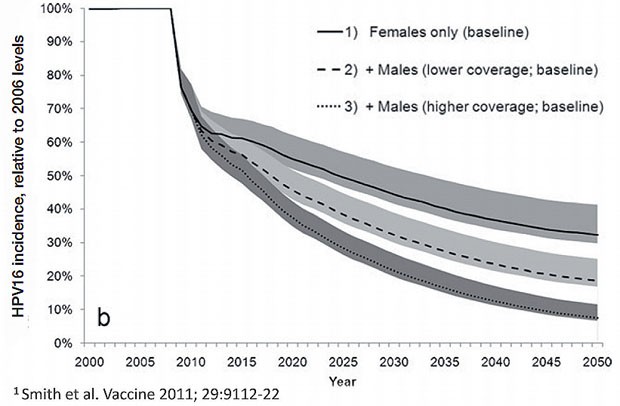 Abb. 4 Anstieg der Herdenimmunität nach dem Einführen des Frauen-Impfprogramms in  Australien. 59% Reduktion der Neudiagnosen von Kondylomen bei Frauen (2007-2007) und  39% Reduktion der Neudiagnosen von Kondylomen bei Männern (2007-2009). Bei ähnlicher  Abdeckungsrate bei Männer-Impfprogramm bis 2050 kann man eine weitere Reduktion um 24%  erwarten. MSM nicht berücksichtigt