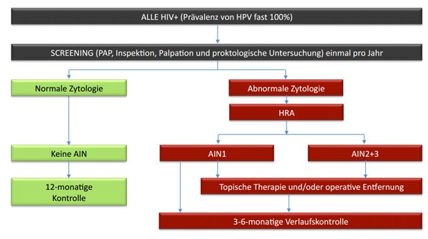 Abb. 6 Grob vereinfachter Screening‐Algorithmus für AIN/ANALKARZINOM bei HIV-Patienten in  der Praxis Jessen 2