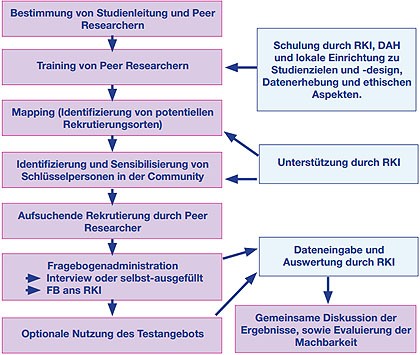 Abb. 1 Studienablauf in Hamburg