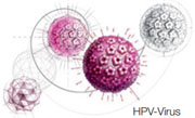 HPV-Virus