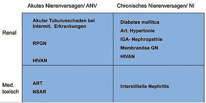 Abb. 3 Überblick zur Einordnung eines Nierenversagens