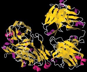 Abb. 2 Rituximab