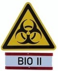 Bio II