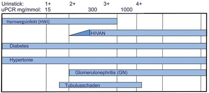 Abb. 2  Proteinurie