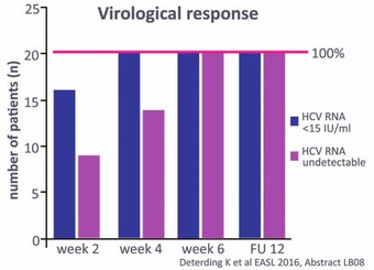 Abb. 5 Therapie der akuten symptomatischen Hepatitis C.  SVR nach 6 Wochen LDV/SOF