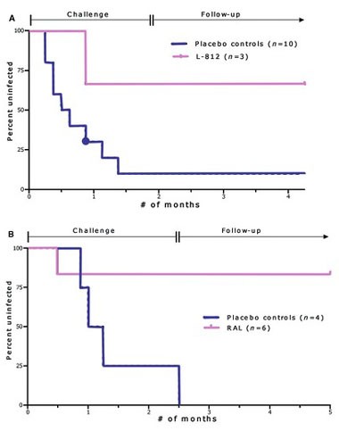 Abb. 5  Die Überlebenskurve repräsentiert den kumulativen Prozentanteil von nicht-infizierten Makaken über die Zeit unter Risiko einer Infektion über die Monate unter Risiko (8 Risikoereignisse im Monat)  (A) Gel mit L-812 (lila Linie) oder Plazebo (blaue Linie) wurde vaginal appliziert, 30 Minuten vor jeder SHIV Exposition (bis zu 14 SHIV Expositionen). Die Proben beinhalten eine Echtzeit-Kontrolle (lila Linie) und neun historische Kontrollen (blaue Linie). (B) Gel mit RAL (lila Linie) oder Placebo (blaue Linie) wurde vaginal 3h nach SHIV-Exposition gegeben (bis zu 20 SHIV Expositionen)