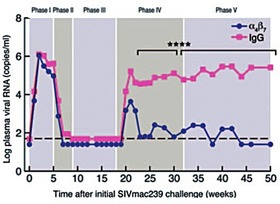 Abb. 2  Andauernde Plasmaviruskontrolle nach anti-α4β7 Integrin Antikörper Therapie, Byrareddy et al. 2016