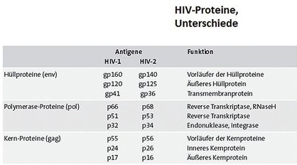 Abb. 4   Unterschiede HIV-1 und HIV-2 – HIV-Proteine, drei funktionelle Gruppen