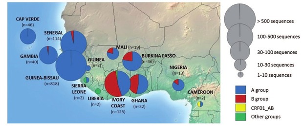 Abb. 3   Verteilung von HIV-2 Gruppen in Westafrika (Auswertung von analysierten Gensequenzen, Los Alamos National Laboratory database)  n = Anzahl der Viren, für die eine Sequenzierung vorliegt