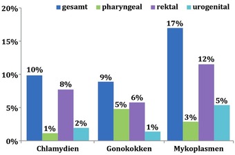 Abb. 2  STI-Prävalenz, nach Erreger und Lokalisation