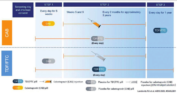 Abb 1  Studiendesign der HPTN-083-Studie