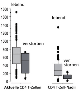 Abb 4  Gepoolte Analyse Madrid, Mailand, D (n=175) CD4 Nadir und CD4 aktuell, Mortalität