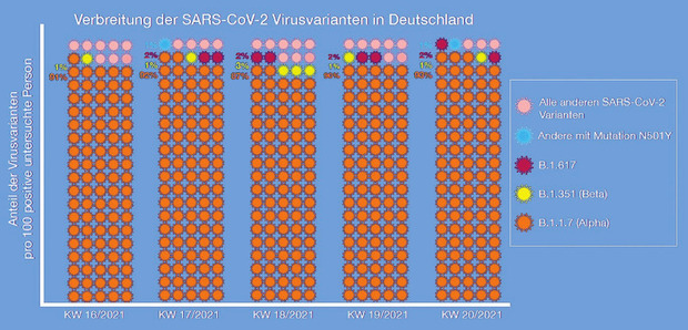 Virusvarianten in Deutschland