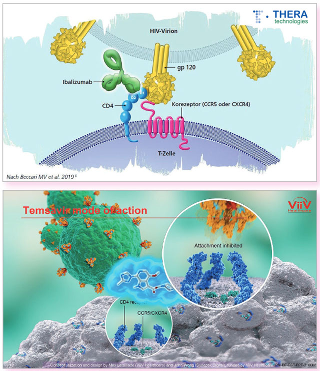 Wirkmechanismus des Post-Attachment-Inhibitors Ibalizumab (oben) und des Attachment-Inhibitors Temsavir (unten) 