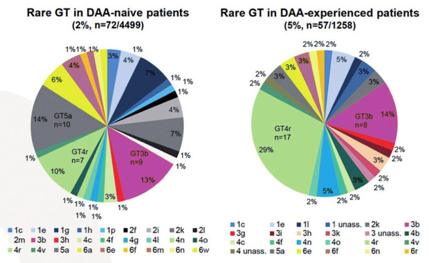 Abb 1  Seltene Genotypen bei DAA-naiven und DAA-vorbehandelten Patient*innen