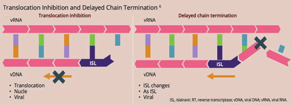 Translocation Inhibition