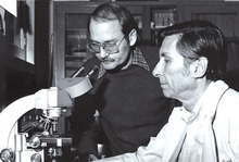 Dr. Joseph E. McDade (links) und Dr. Charles C. Shepard, 1977 im Labor der CDC