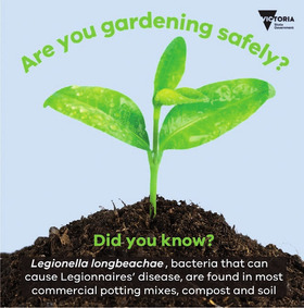 Are you gardening safely?