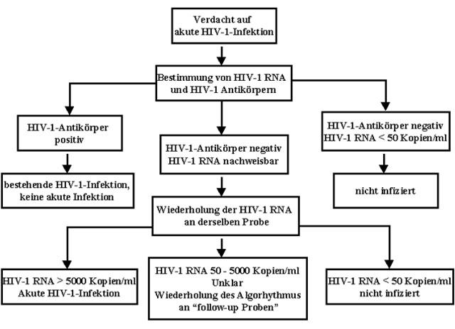 Schlamm Alaska Sehr schön elisa and western blot for hiv Eroberung