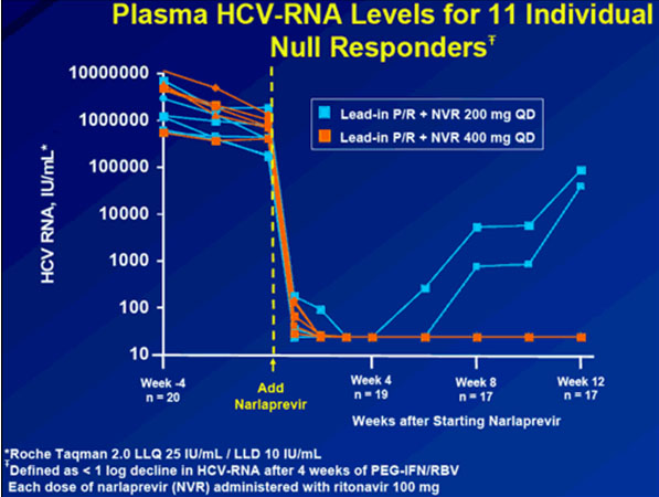 plasma HCV-RNA levels for 11 individual Null Responders